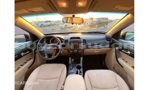 Buy Import Kia Sorento Brown Car in Import - Dubai in Al Jazirah State Buy Import Kia Sorento Brown Car in Import - Dubai in Al Jazirah State