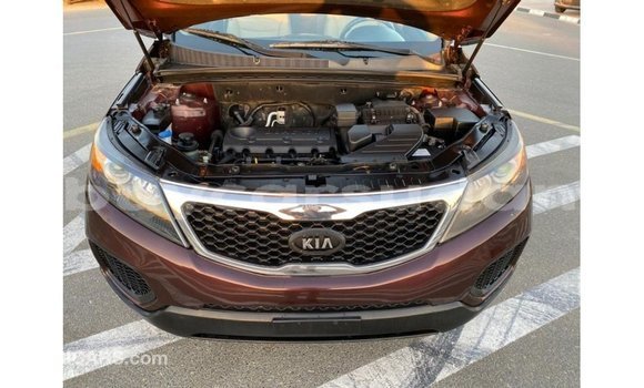 Buy Import Kia Sorento Brown Car in Import - Dubai in Al Jazirah State Buy Import Kia Sorento Brown Car in Import - Dubai in Al Jazirah State