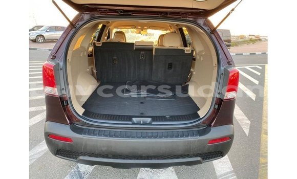 Buy Import Kia Sorento Brown Car in Import - Dubai in Al Jazirah State Buy Import Kia Sorento Brown Car in Import - Dubai in Al Jazirah State