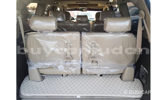 Buy Import Toyota Land Cruiser Other Car in Import - Dubai in Al Jazirah State Buy Import Toyota Land Cruiser Other Car in Import - Dubai in Al Jazirah State