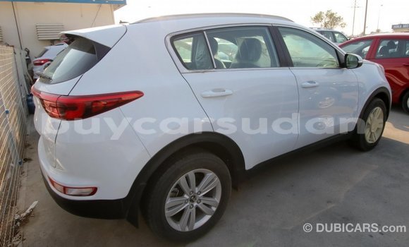 Buy Import Kia Sportage White Car in Import - Dubai in Al Jazirah State Buy Import Kia Sportage White Car in Import - Dubai in Al Jazirah State
