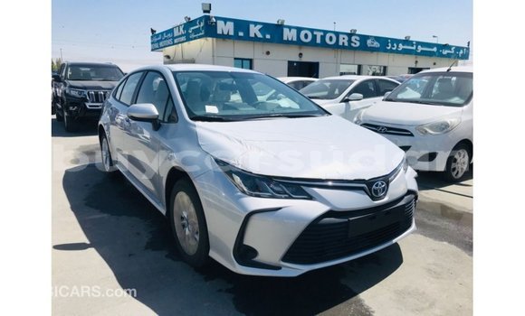 Buy Import Toyota Corolla White Car in Import - Dubai in Al Jazirah State Buy Import Toyota Corolla White Car in Import - Dubai in Al Jazirah State