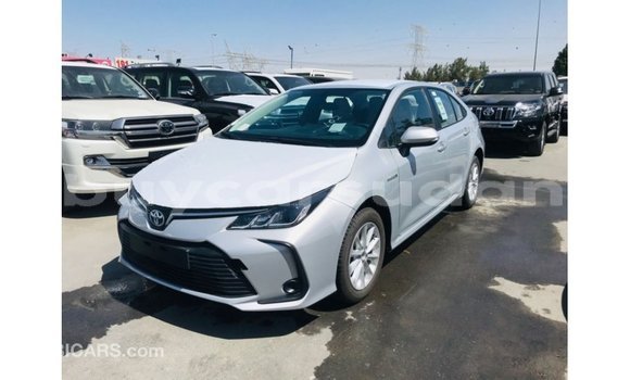 Buy Import Toyota Corolla White Car in Import - Dubai in Al Jazirah State Buy Import Toyota Corolla White Car in Import - Dubai in Al Jazirah State