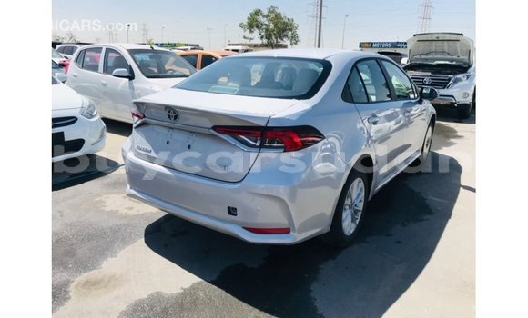 Buy Import Toyota Corolla White Car in Import - Dubai in Al Jazirah State Buy Import Toyota Corolla White Car in Import - Dubai in Al Jazirah State