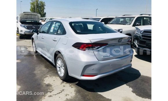 Buy Import Toyota Corolla White Car in Import - Dubai in Al Jazirah State Buy Import Toyota Corolla White Car in Import - Dubai in Al Jazirah State