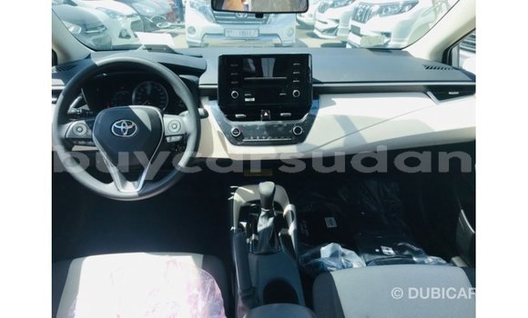 Buy Import Toyota Corolla White Car in Import - Dubai in Al Jazirah State Buy Import Toyota Corolla White Car in Import - Dubai in Al Jazirah State