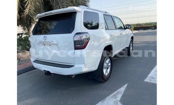Buy Import Toyota HiAce White Truck in Import - Dubai in Al Jazirah State Buy Import Toyota HiAce White Truck in Import - Dubai in Al Jazirah State