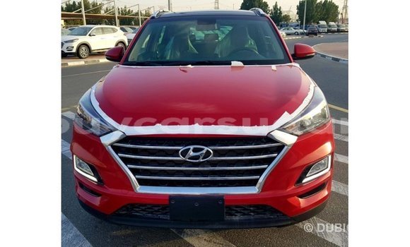 Buy Import Hyundai Tucson Red Car in Import - Dubai in Al Jazirah State Buy Import Hyundai Tucson Red Car in Import - Dubai in Al Jazirah State