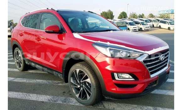 Buy Import Hyundai Tucson Red Car in Import - Dubai in Al Jazirah State Buy Import Hyundai Tucson Red Car in Import - Dubai in Al Jazirah State