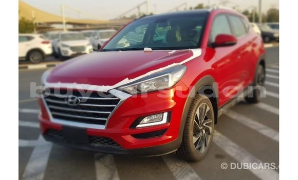 Buy Import Hyundai Tucson Red Car in Import - Dubai in Al Jazirah State Buy Import Hyundai Tucson Red Car in Import - Dubai in Al Jazirah State