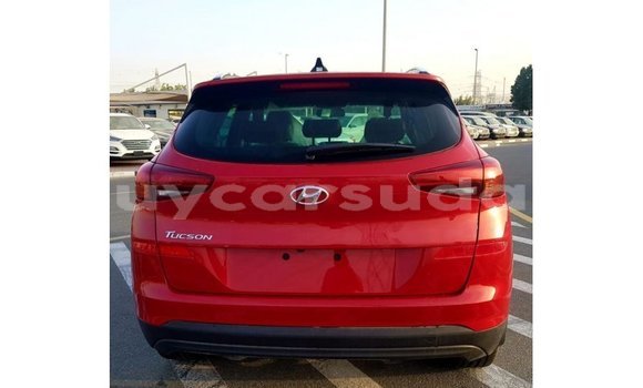 Buy Import Hyundai Tucson Red Car in Import - Dubai in Al Jazirah State Buy Import Hyundai Tucson Red Car in Import - Dubai in Al Jazirah State