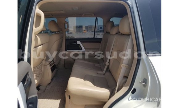 Buy Import Toyota Land Cruiser White Car in Import - Dubai in Al Jazirah State Buy Import Toyota Land Cruiser White Car in Import - Dubai in Al Jazirah State
