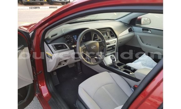 Buy Import Hyundai Sonata Red Car in Import - Dubai in Al Jazirah State Buy Import Hyundai Sonata Red Car in Import - Dubai in Al Jazirah State