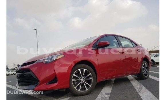 Buy Import Toyota Corolla Red Car in Import - Dubai in Al Jazirah State Buy Import Toyota Corolla Red Car in Import - Dubai in Al Jazirah State