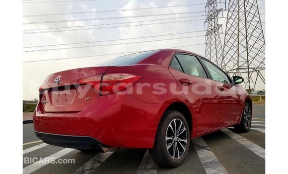 Buy Import Toyota Corolla Red Car in Import - Dubai in Al Jazirah State Buy Import Toyota Corolla Red Car in Import - Dubai in Al Jazirah State
