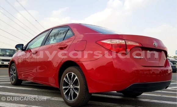 Buy Import Toyota Corolla Red Car in Import - Dubai in Al Jazirah State Buy Import Toyota Corolla Red Car in Import - Dubai in Al Jazirah State