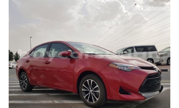 Buy Import Toyota Corolla Red Car in Import - Dubai in Al Jazirah State Buy Import Toyota Corolla Red Car in Import - Dubai in Al Jazirah State