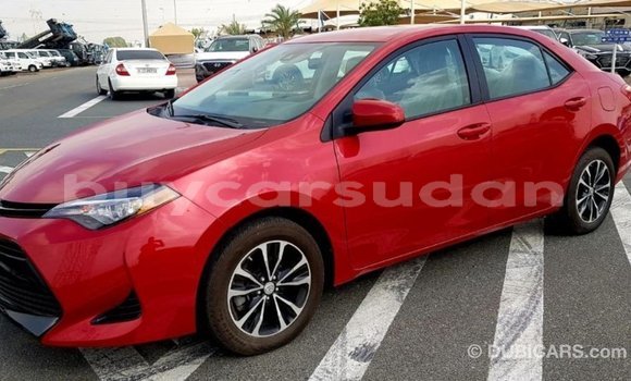 Buy Import Toyota Corolla Red Car in Import - Dubai in Al Jazirah State Buy Import Toyota Corolla Red Car in Import - Dubai in Al Jazirah State