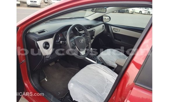 Buy Import Toyota Corolla Red Car in Import - Dubai in Al Jazirah State Buy Import Toyota Corolla Red Car in Import - Dubai in Al Jazirah State