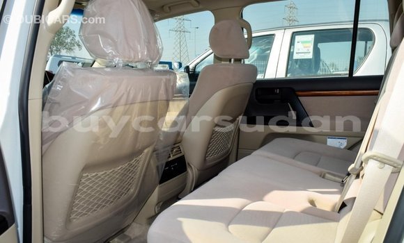 Buy Import Toyota Land Cruiser White Car in Import - Dubai in Al Jazirah State Buy Import Toyota Land Cruiser White Car in Import - Dubai in Al Jazirah State