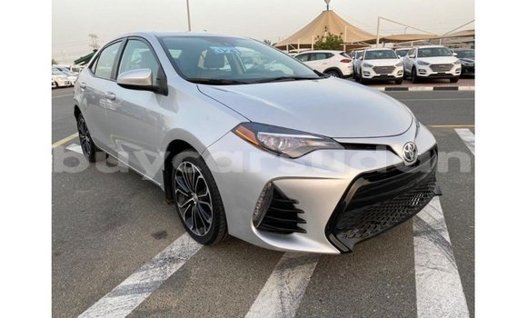 Buy Import Toyota Corolla Other Car in Import - Dubai in Al Jazirah State Buy Import Toyota Corolla Other Car in Import - Dubai in Al Jazirah State