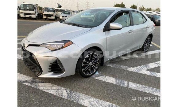 Buy Import Toyota Corolla Other Car in Import - Dubai in Al Jazirah State Buy Import Toyota Corolla Other Car in Import - Dubai in Al Jazirah State