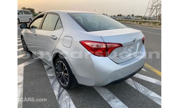 Buy Import Toyota Corolla Other Car in Import - Dubai in Al Jazirah State Buy Import Toyota Corolla Other Car in Import - Dubai in Al Jazirah State