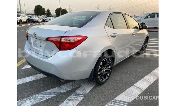 Buy Import Toyota Corolla Other Car in Import - Dubai in Al Jazirah State Buy Import Toyota Corolla Other Car in Import - Dubai in Al Jazirah State