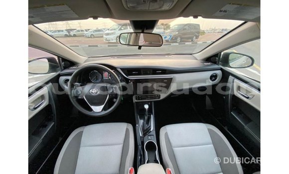 Buy Import Toyota Corolla Other Car in Import - Dubai in Al Jazirah State Buy Import Toyota Corolla Other Car in Import - Dubai in Al Jazirah State