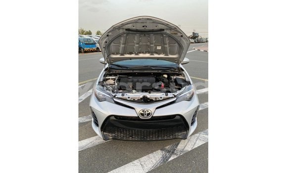 Buy Import Toyota Corolla Other Car in Import - Dubai in Al Jazirah State Buy Import Toyota Corolla Other Car in Import - Dubai in Al Jazirah State