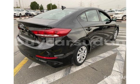 Buy Import Hyundai Elantra Black Car in Import - Dubai in Al Jazirah State Buy Import Hyundai Elantra Black Car in Import - Dubai in Al Jazirah State