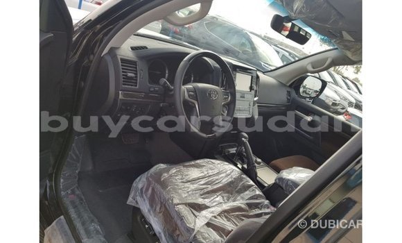 Buy Import Toyota Land Cruiser Black Car in Import - Dubai in Al Jazirah State Buy Import Toyota Land Cruiser Black Car in Import - Dubai in Al Jazirah State