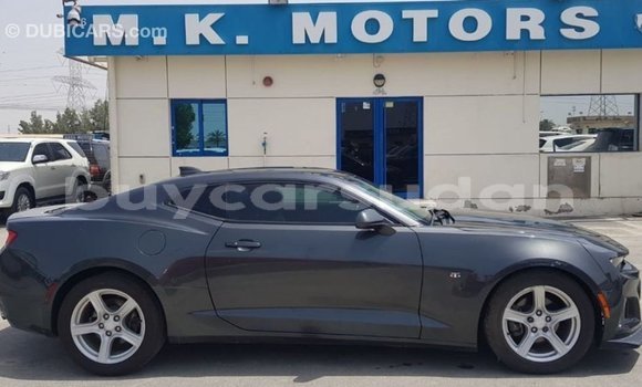 Buy Import Chevrolet Camaro Other Car in Import - Dubai in Al Jazirah State Buy Import Chevrolet Camaro Other Car in Import - Dubai in Al Jazirah State