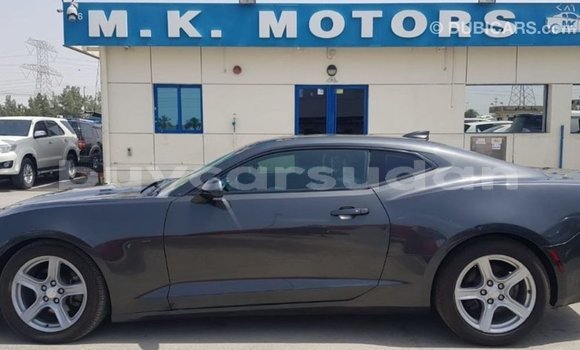 Buy Import Chevrolet Camaro Other Car in Import - Dubai in Al Jazirah State Buy Import Chevrolet Camaro Other Car in Import - Dubai in Al Jazirah State