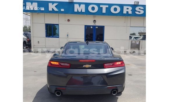 Buy Import Chevrolet Camaro Other Car in Import - Dubai in Al Jazirah State Buy Import Chevrolet Camaro Other Car in Import - Dubai in Al Jazirah State
