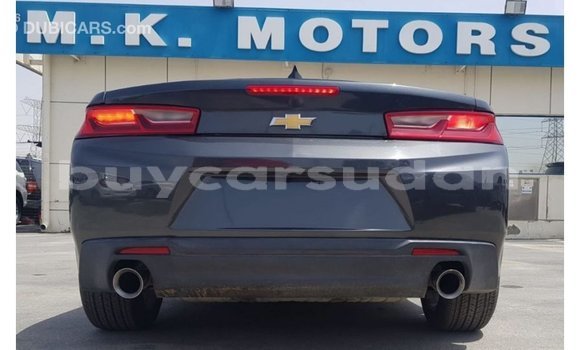 Buy Import Chevrolet Camaro Other Car in Import - Dubai in Al Jazirah State Buy Import Chevrolet Camaro Other Car in Import - Dubai in Al Jazirah State