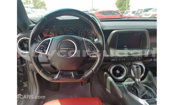 Buy Import Chevrolet Camaro Other Car in Import - Dubai in Al Jazirah State Buy Import Chevrolet Camaro Other Car in Import - Dubai in Al Jazirah State