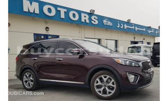 Buy Import Kia Sorento Red Car in Import - Dubai in Al Jazirah State Buy Import Kia Sorento Red Car in Import - Dubai in Al Jazirah State