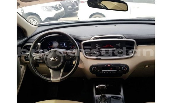 Buy Import Kia Sorento Red Car in Import - Dubai in Al Jazirah State Buy Import Kia Sorento Red Car in Import - Dubai in Al Jazirah State