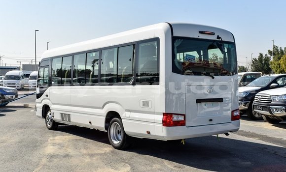 Buy Import Toyota Coaster White Car in Import - Dubai in Al Jazirah State Buy Import Toyota Coaster White Car in Import - Dubai in Al Jazirah State