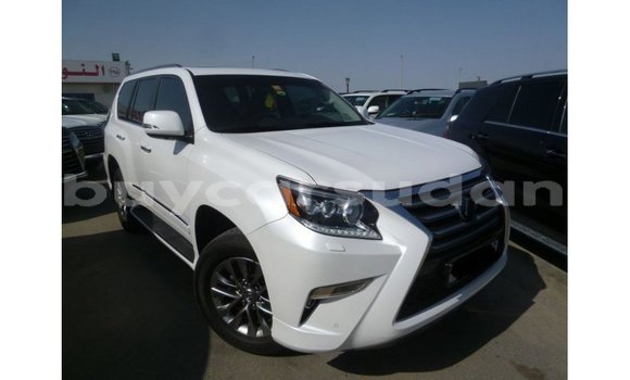 Buy Import Lexus GX White Car in Import - Dubai in Al Jazirah State Buy Import Lexus GX White Car in Import - Dubai in Al Jazirah State