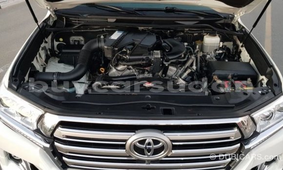 Buy Import Toyota Land Cruiser White Car in Import - Dubai in Al Jazirah State Buy Import Toyota Land Cruiser White Car in Import - Dubai in Al Jazirah State