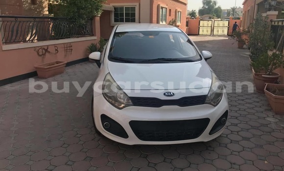 Buy Used Kia rio White Car in Abu Hijar in Sinnar