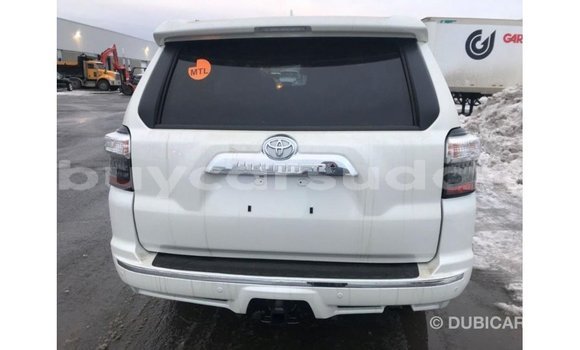Buy Import Toyota HiAce White Truck in Import - Dubai in Al Jazirah State Buy Import Toyota HiAce White Truck in Import - Dubai in Al Jazirah State