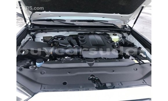 Buy Import Toyota HiAce White Truck in Import - Dubai in Al Jazirah State Buy Import Toyota HiAce White Truck in Import - Dubai in Al Jazirah State