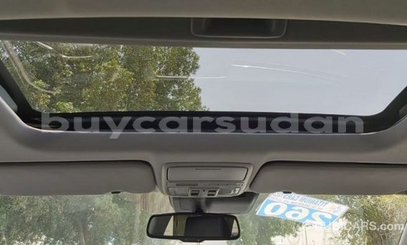 Buy Import Honda C Other Bike in Import - Dubai in Al Jazirah State Buy Import Honda C Other Bike in Import - Dubai in Al Jazirah State