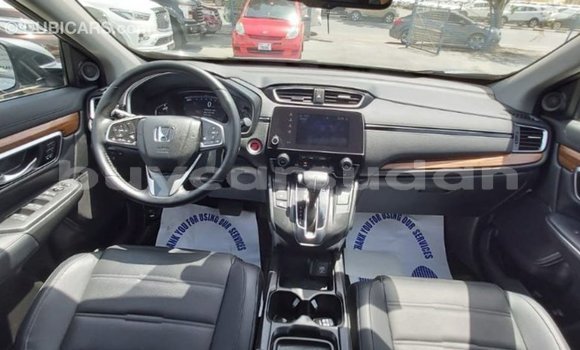 Buy Import Honda C Other Bike in Import - Dubai in Al Jazirah State Buy Import Honda C Other Bike in Import - Dubai in Al Jazirah State