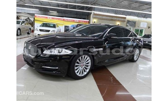 Buy Import Jaguar XJ Black Car in Import - Dubai in Al Jazirah State Buy Import Jaguar XJ Black Car in Import - Dubai in Al Jazirah State