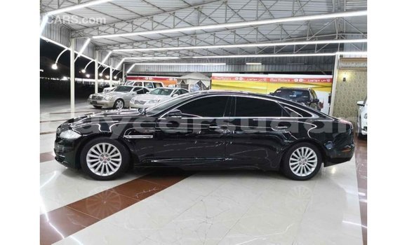 Buy Import Jaguar XJ Black Car in Import - Dubai in Al Jazirah State Buy Import Jaguar XJ Black Car in Import - Dubai in Al Jazirah State
