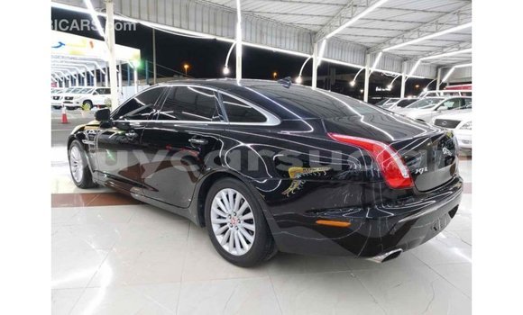Buy Import Jaguar XJ Black Car in Import - Dubai in Al Jazirah State Buy Import Jaguar XJ Black Car in Import - Dubai in Al Jazirah State